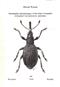 Systematics and Phylogeny of the Tribe Ceratapiini (Coleoptera: Curculionoidea: Apionidae)