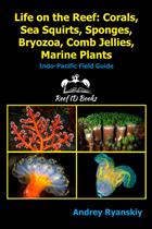 Life on the Reef: Corals, Sea Squirts, Sponges, Bryozoa, Comb Jellies, Marine Plants