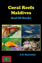 Coral Reefs Maldives