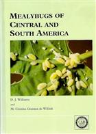 Mealybugs of Central and South America