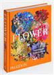 Flower: Exploring the World in Bloom
