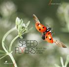 Speed flyers: Le vol des insectes révélé