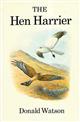 The Hen Harrier