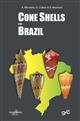 Cone Shells from Brazil