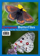 European Butterflies Issue 9. Spring 2026