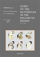 Guide to the Butterflies of the Palearctic Region: Pieridae 5: subfamily Pieridae (partim) - tribe Pierini (partim)