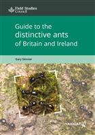 Guide to distinctive ants of Britain and Ireland (Chart)