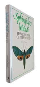 Sphingidae Mundi: Hawk Moths of the World