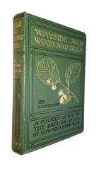 Wayside and Woodland Trees: A Pocket Guide to the British Sylva