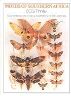 Moths of Southern Africa