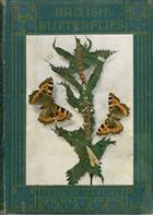 British Butterflies