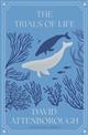 The Trials of Life: A Natural History of Animal Behaviour Centenary edition