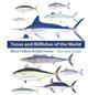 Tunas and Billfishes of the World<b/>