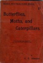 Butterflies, Moths, and Caterpillars: How to Catch and Keep Them