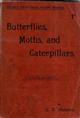 Butterflies, Moths, and Caterpillars: How to Catch and Keep Them