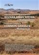 Photographic Field Guide of Grasses of Madagascar