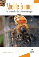 L'Abeille à Miel: La vie secrète des colonies sauvages