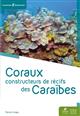 Coraux constructeurs de récifs des Caraïbes