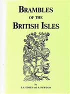 Brambles of the British Isles