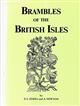 Brambles of the British Isles