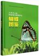 Atlas of Butterflies from Qiyunshan National Nature Reserve in Jiangxi Province | 江西齐云山国家级自然保护区蝴蝶图鉴