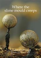 Where the Slime Mould Creeps