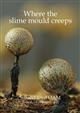 Where the Slime Mould Creeps