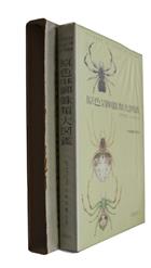 Spiders of Japan in Colour