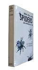 New Zealand Spiders: An Introduction