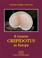 Il Genere Crepidotus in Europa [The Crepidotus genus in Europe]