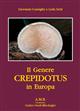 Il Genere Crepidotus in Europa [The Crepidotus genus in Europe]