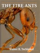 The Fire Ants