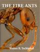 The Fire Ants