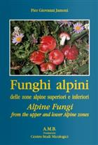Funghi Alpini: delle zone alpine superiori e inferiori | Alpine Fungi: from the upper and lower Alpine zones