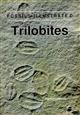 Trilobites (Fossils Illustrated Vol. 2)