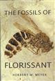 The Fossils of Florissant