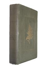 British Ferns and Their Varieties