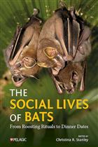 The Social Lives of Bats: From Roosting Rituals to Dinner Dates