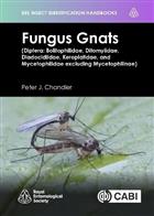 Fungus Gnats: (Diptera: Bolitophilidae, Ditomyiidae, Diadocidiidae, Keroplatidae, and Mycetophilidae excluding Mycetophilinae) (RES Insect Identification Handbooks)