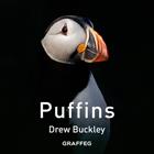 Puffins