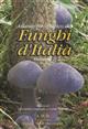 Atlante fotografico dei Funghi d'Italia: Vol. 2
