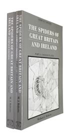 The Spiders of Great Britain and Ireland: Compact Edition