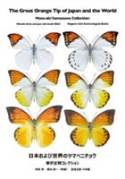 The Great Orange Tip of Japan and the World: Masa-aki Samusawa Collection
