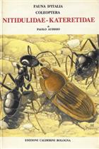 Coleoptera: Nitidulidae - Kateretidae Fauna d'Italia 32