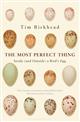 The Most Perfect Thing: Inside (and Outside) a Bird's Egg