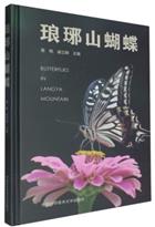 Butterflies in Langya Mountain | 琅琊山蝴蝶
