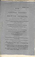 The Natural History of British Insects. No IV, VI, VIII