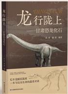Dragons Roaming Longshang: Dinosaur Fossils in Gansu | 龙行陇上-甘肃恐龙化石