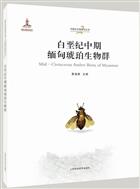 Mid-Cretaceous Amber Biota of Myanmar | 白垩纪中期缅甸琥珀生物群(精)/中国古生物研究丛书