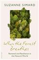 When the Forest Breathes: Renewal and Resilience in the Natural World